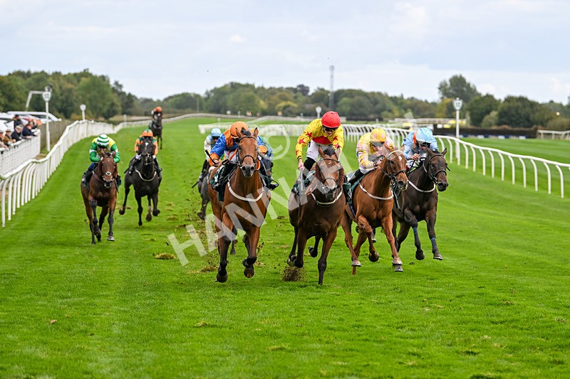 021024-Race 5-Homer Stokes-9535 - Race 5