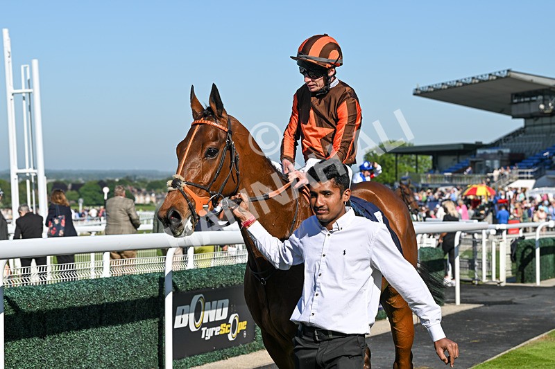 130525-Race 6-Analogical-0489 - Race 6