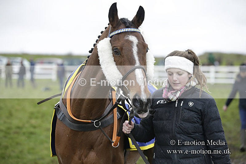 PtP 150320 0257 - New Forest Point-to-Point Larkhill 15/03/20
