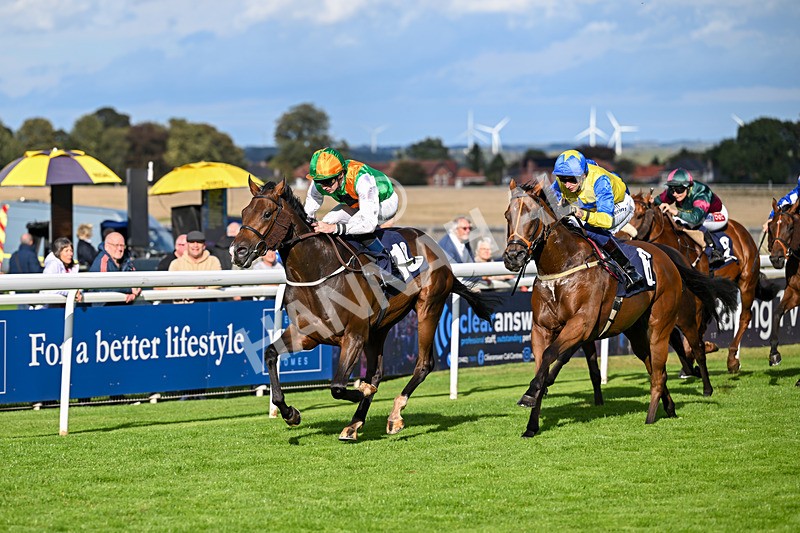 170925-Race 5-Hashtagnotions-5412 - Race 5