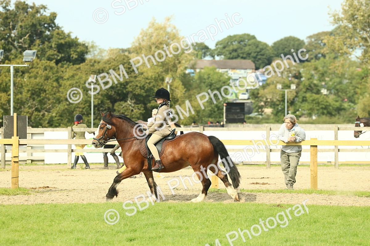 SBM_69062 - S58 - Mini Show Cob Ridden