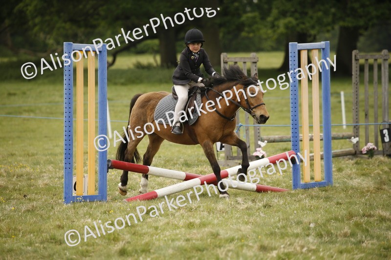 20250517-0837 - Class 2 - 30cm Off Lead Rein