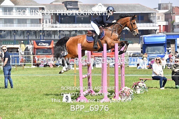 BPP_6976 - CLASS 3 RHS Fox Champ Qual (1.20m)