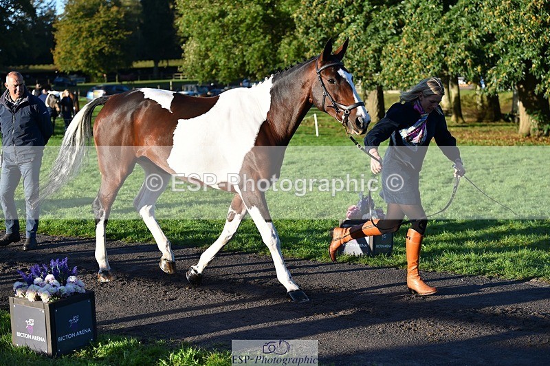 231022-085816-21478 - 669-FOXRIDGE.HIGH.JINX-Claire.Deuten-TrotUp+SJ