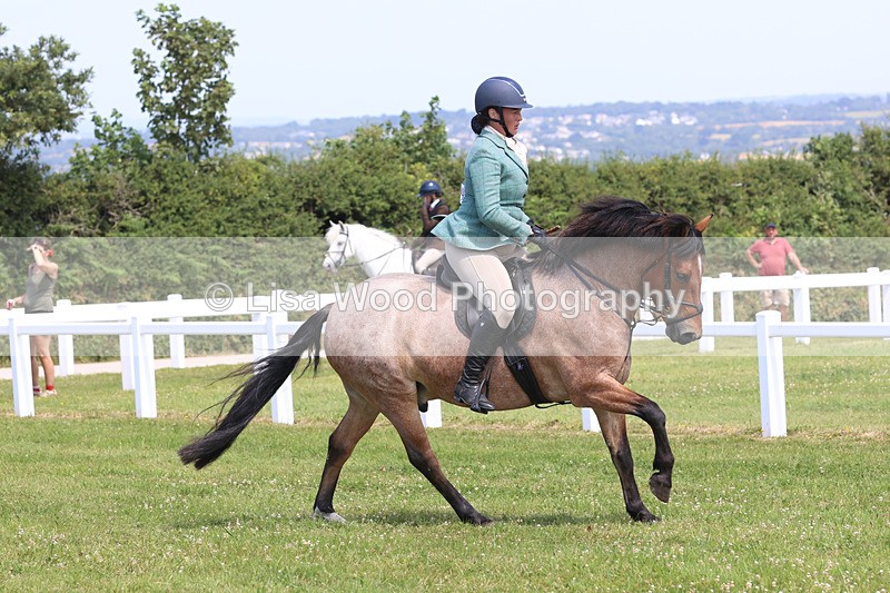 JPP_3235 - Class 22: Working Hunter 70cm
