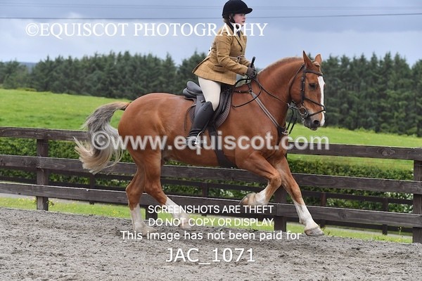 JAC_1071 - CLASS 7 BHS Scotland Riding Club Style Jumping (0.85m)
