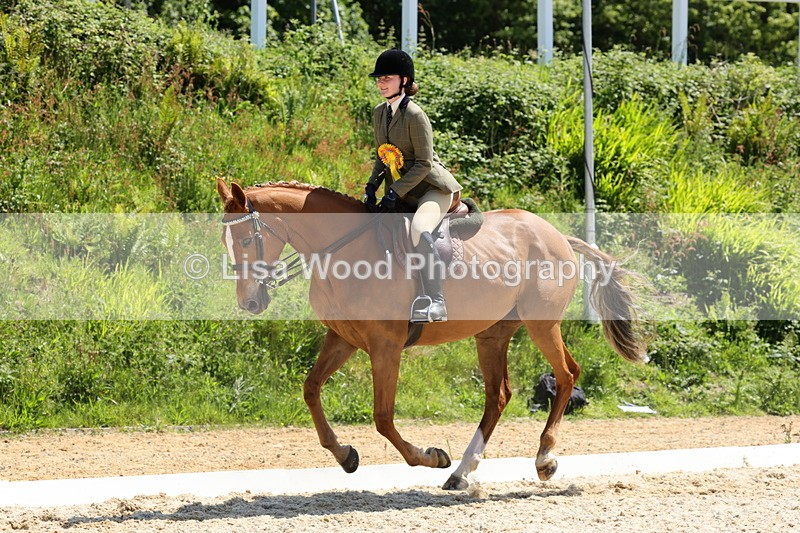 1X9A1936 - Class 12: Ridden Riding Horse/Hack