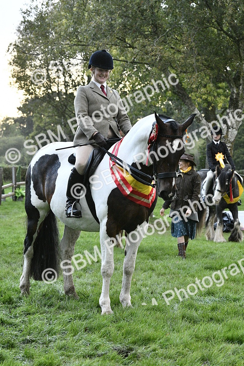 SBM_53339 - S14 - Riding Club Horse