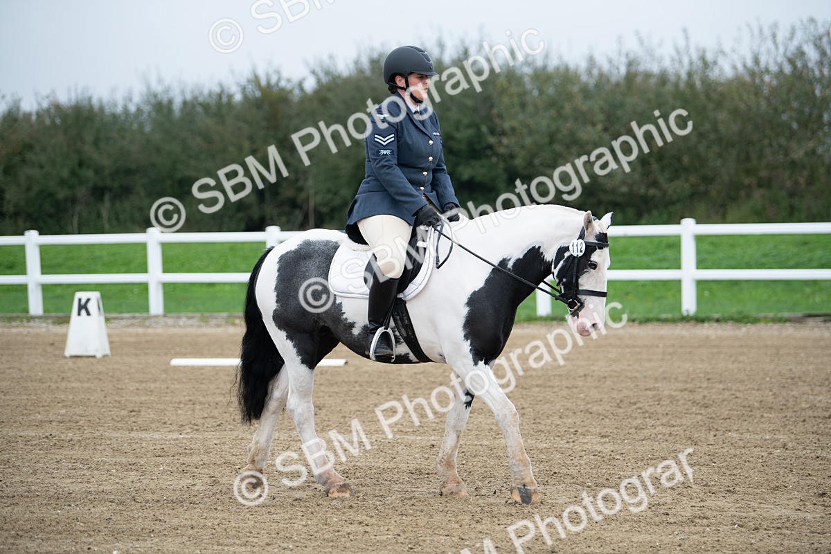 SBM_003486 - Introductory Test 3