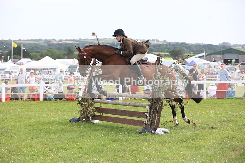 JPP_4184 - Class 25: Working Show Horse