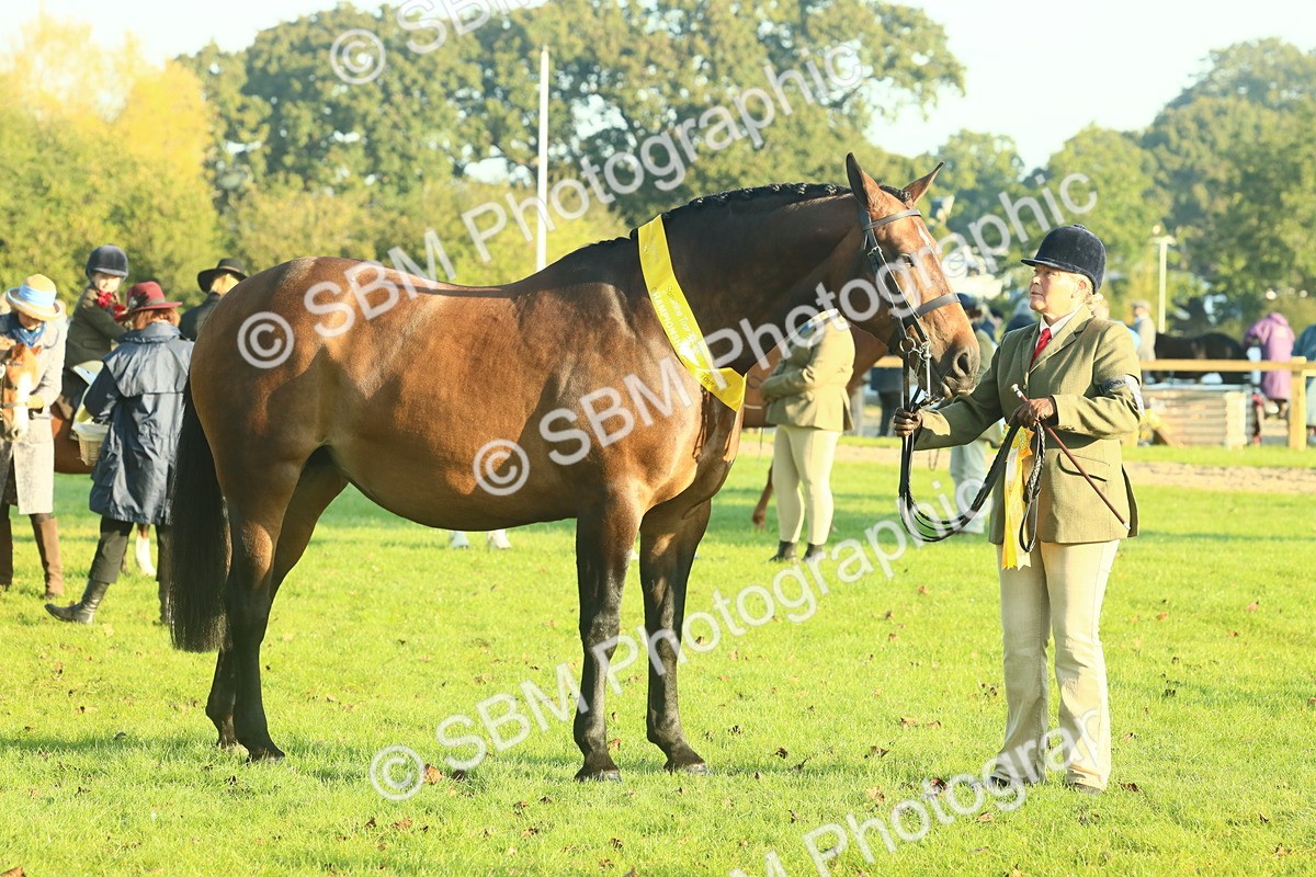 SBM_56740 - S36 - Starters Best Turnout