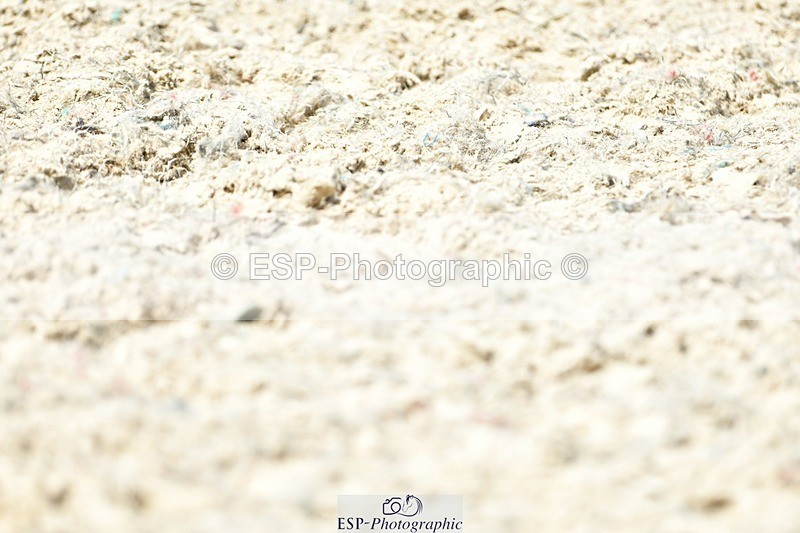 230623-131128-02337 - Cls 4 Novice 37Q 12.45 to End