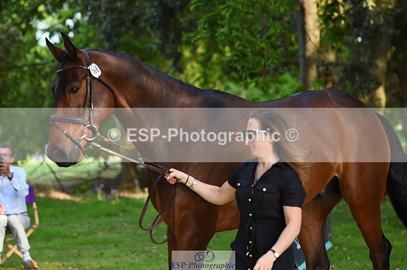 230524-171744-01413 - 168-PARKFIELD_ARTIE_BLOU-Laura_Collett-WEDTrotUp+DR