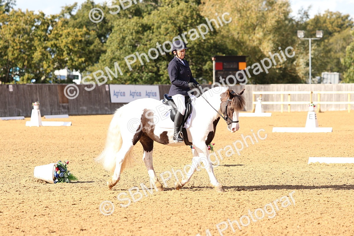 SBM_50456 - D12 - Small Tour Championship prelim 2