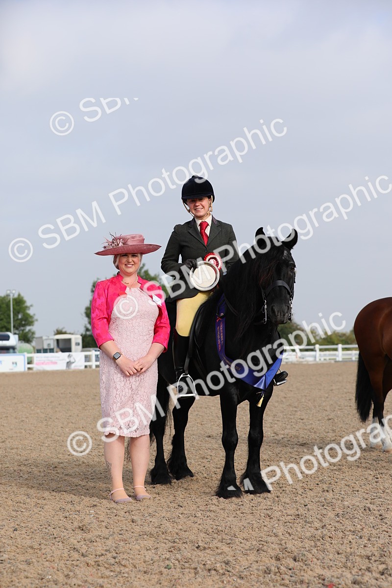 SBM_10156 - Class 302 Ridden M&M -Large Breeds