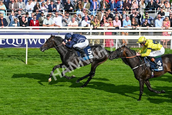 220825-Race 6-Frescobaldi-7781 - Race 6 4.45pm British Stallion Studs EBF Convivial Maiden Stakes