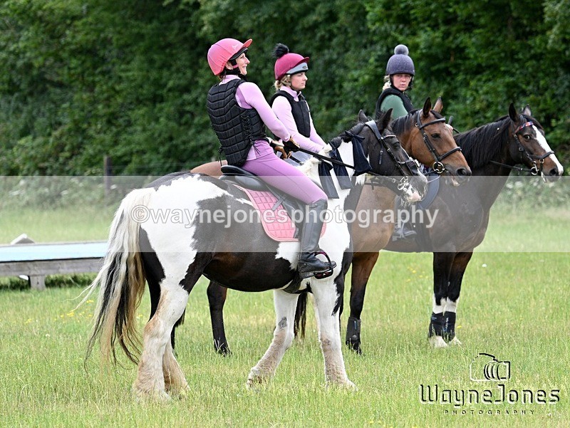WJ7_8638 - Kellie Jade Ellie XC training with Kelly Harris 28-06-26