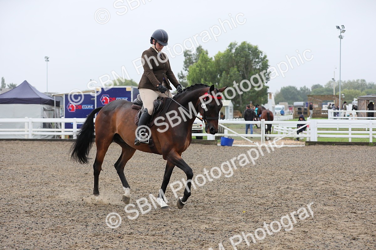 SBM_20052 - Class 802 - Ridden Groom - Helpers class