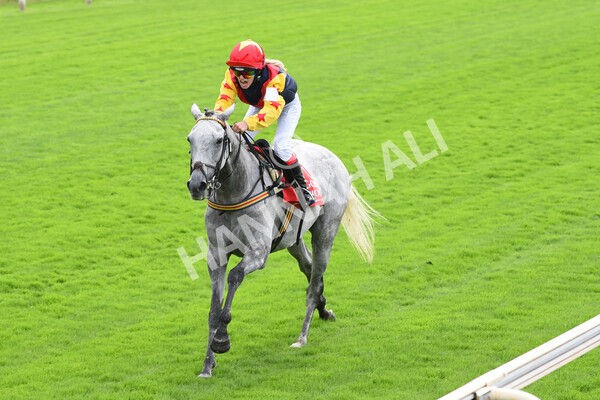 yr04092022p1-56 - 12.30pm 148cm Conditions Pony Race
