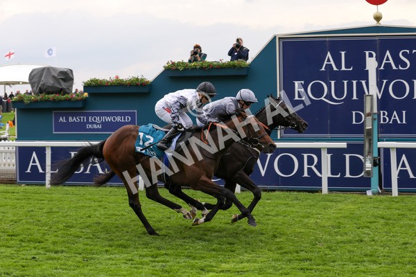 160524-Race 6-Andesite-1976 - Race 6 4.45pm Frank Whittle Partnership ebfstallions.com Novice Stakes
