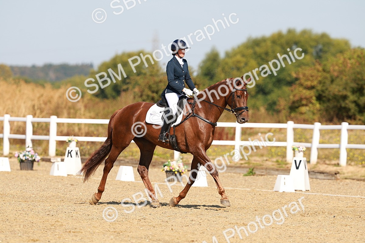 SBM_017531 - Class 9 - N5 Bronze 10.33.11.36