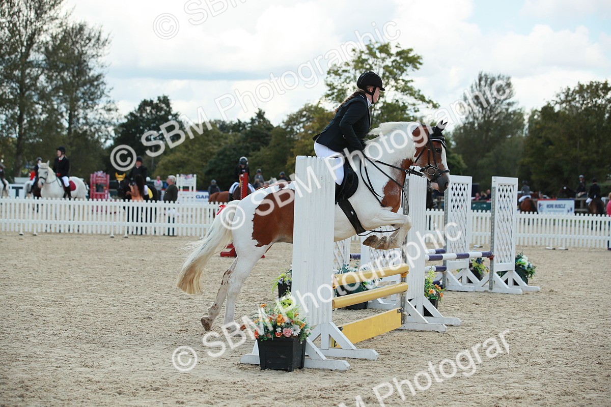 SBM_06200 - J29 Senior 65cm Championship