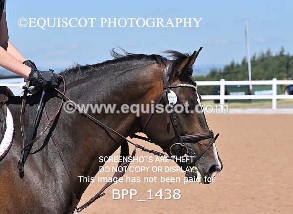 BPP_1438 - THU CLASS 2 Junior 1.15m Open/Inc Pony 1.15m Members Cup **Viewing/Selection class for 148 Debut tea