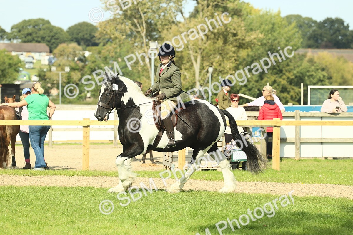 SBM_68822 - S58 - Mini Show Cob Ridden