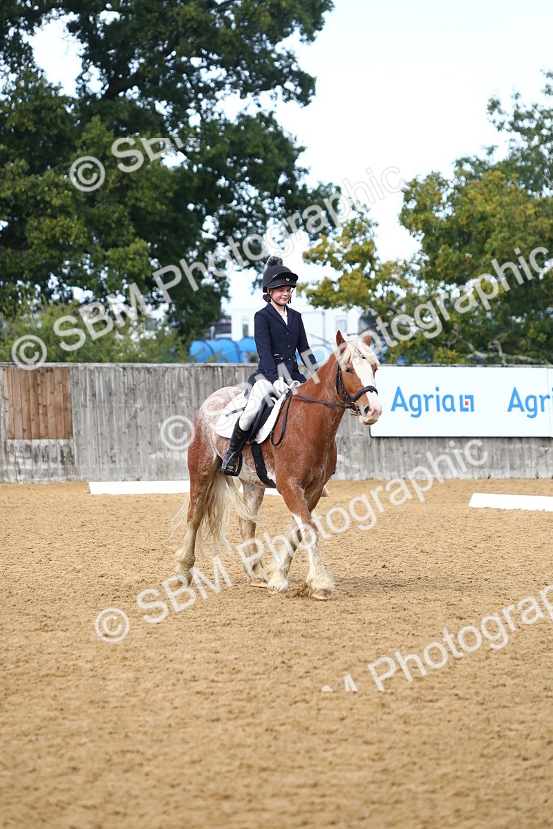 SBM_42640 - D21 - Junior Championship Intro 1
