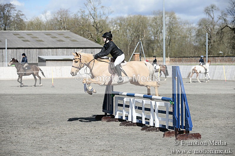 BVRC SJ 170319 524 - Bourne Valley Riding Club Showjumping 17/03/19