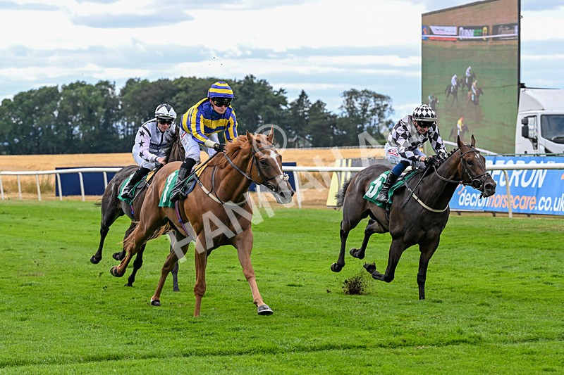 070826-Race 4-Azuinthejungle-1842 - Race 4 15.40pm Ladies' Day Saturday 5th September - Book Now Handicap