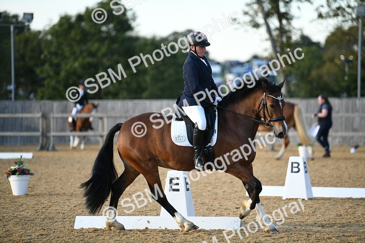 SBM_30927 - D16 - Small Tour Championship - Novice 28