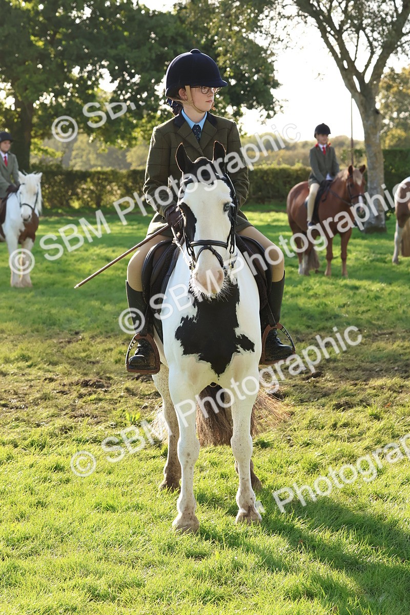 SBM_52648 - S13 - Pony Club Pony