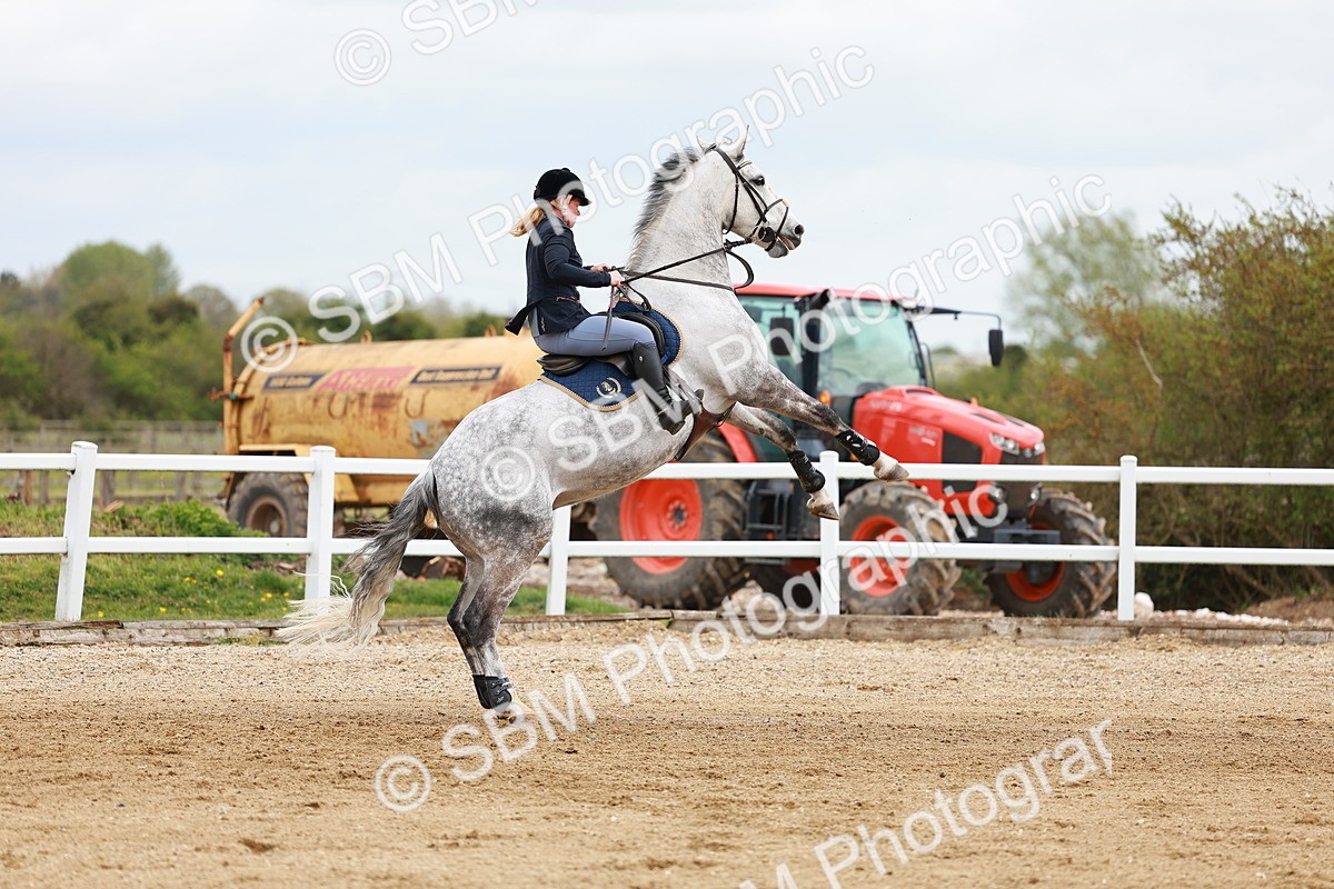 SBM_002531 - Class 10 - Senior Newcomers - 1.10m