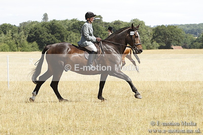 _BS_0736 - BVRC Show 2018 Ring 1