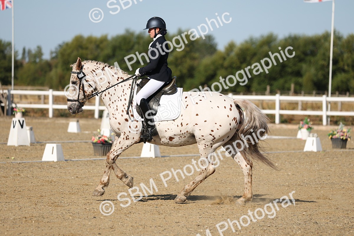 SBM_012680 - Class 1 - P5 Bronze 9.00.10.12