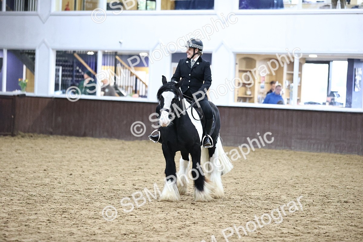 SBM_6383 - Class 45-42 - Ridden Irish Breeds-Ridden Cob
