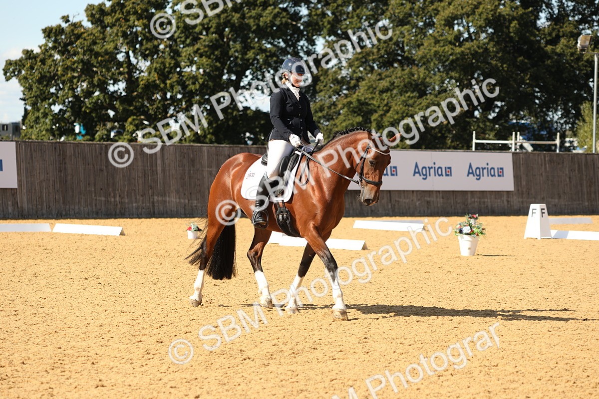 SBM_24512 - D17 - Grand Tour Championship - Novice 27