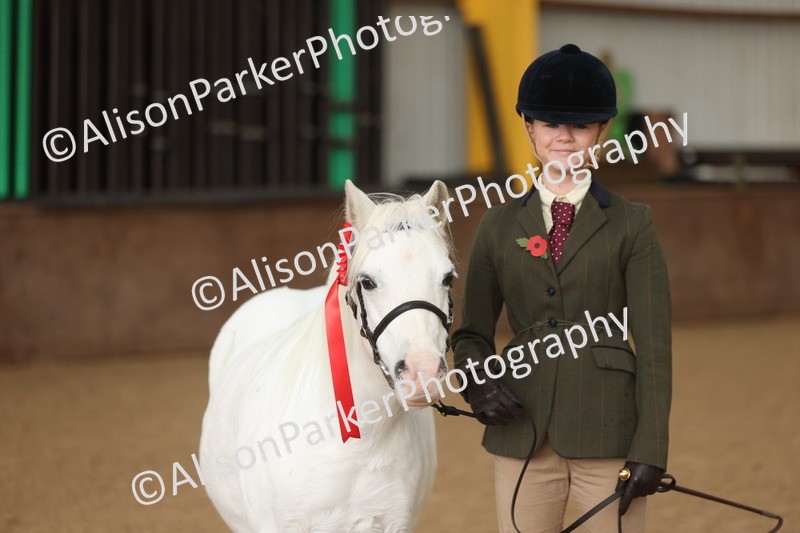 20251109-0569 - Class 21 - Mares 4 Years and over