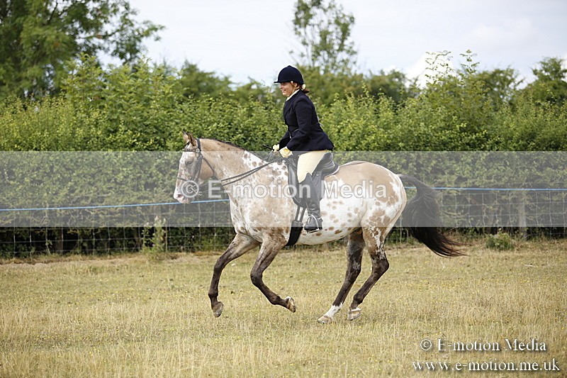 _C7A9533 - BVRC Show 2018 Ring 1