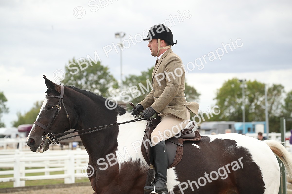 SBM_18292 - Class 509a - Working Veteran - 80cm (15-19)