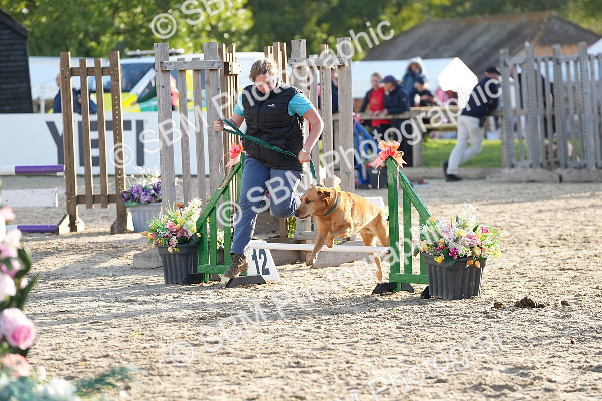 SBM_29397 - J44 - Horse & Hound Open 70cm