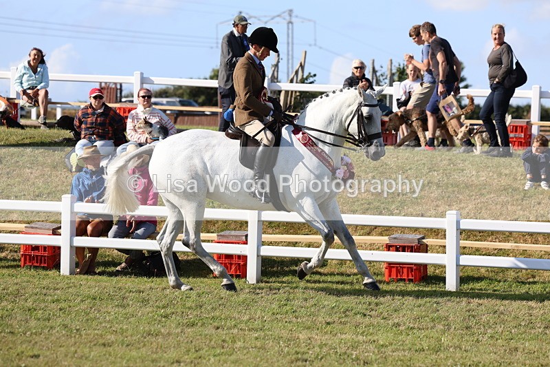 3E7A4258 - Supreme Championship