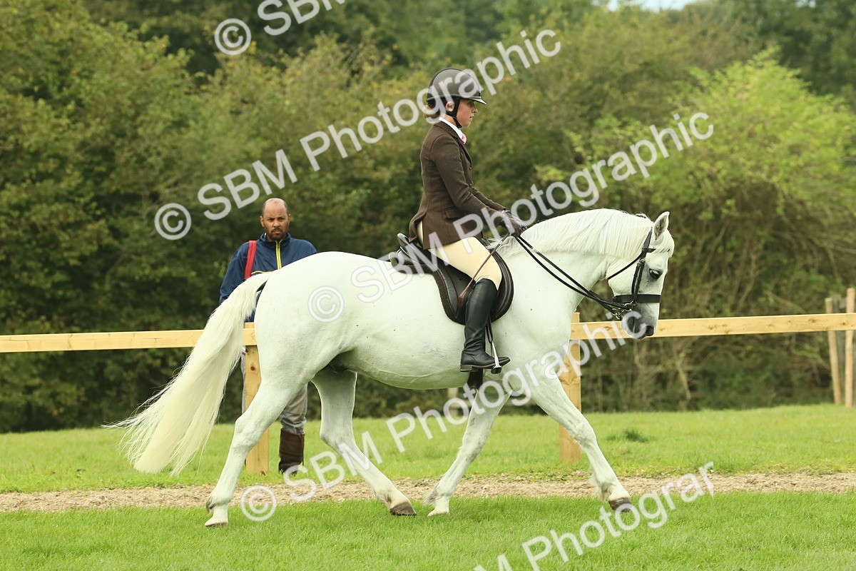 SBM_71871 - S60 - Mountain & Moorland Ridden Large Breeds