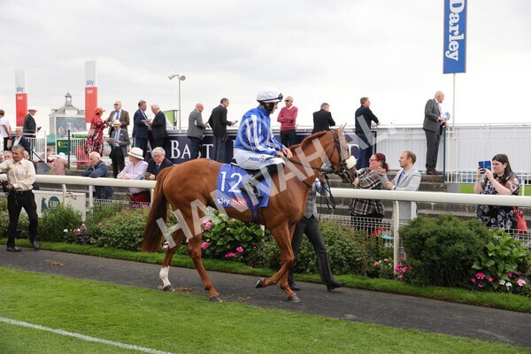 yr18082022r1-1 - Race 1 1.50pm Sky Bet Lowther Stakes