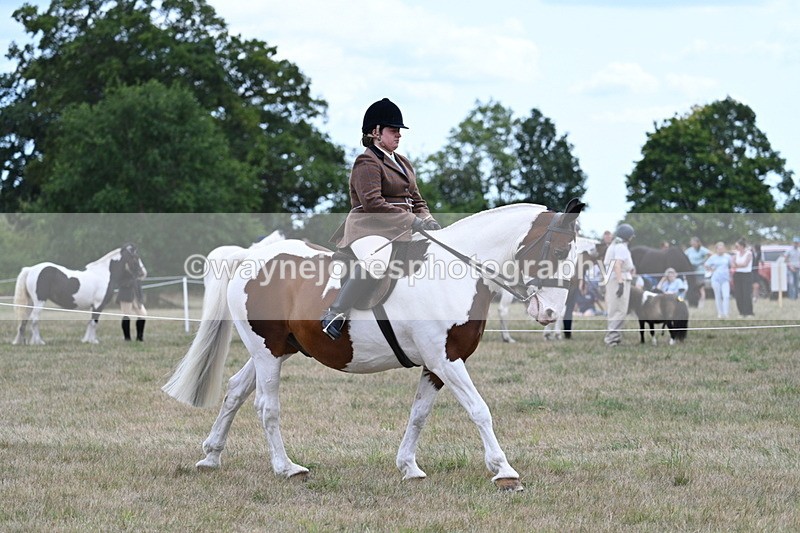 WJ7_4692 - Class 12 Ridden Cob