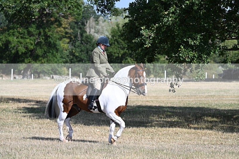 WJ7_2778 - Class 8 Ridden Tack & Turnout