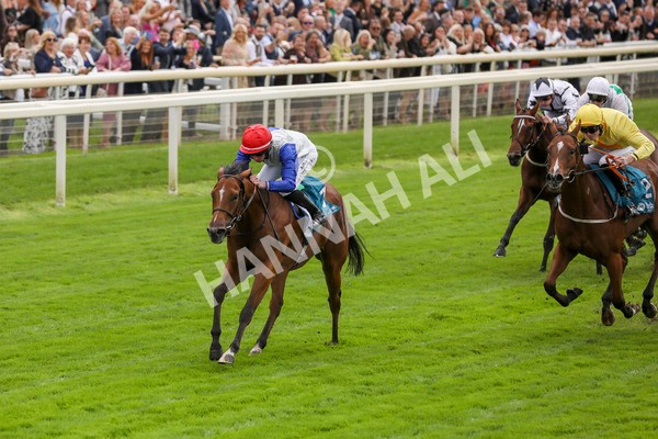 230923-Race 1-Invincible Molly-5185 - Race 1 2.00pm Jigsaw Sports Branding EBF Fillies' Novice Stakes