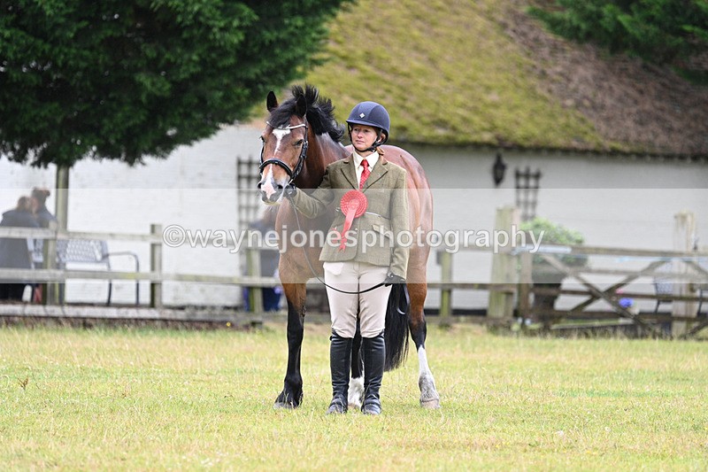 WJ7_6405 - Class 4a Prettiest Mare over 14hh