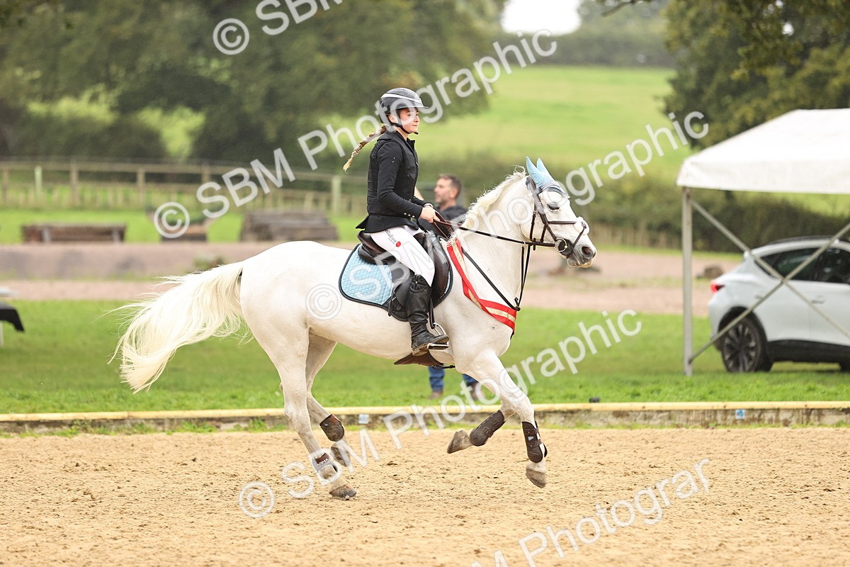 SBM_70107 - Supreme Championship 80cm 85cm
